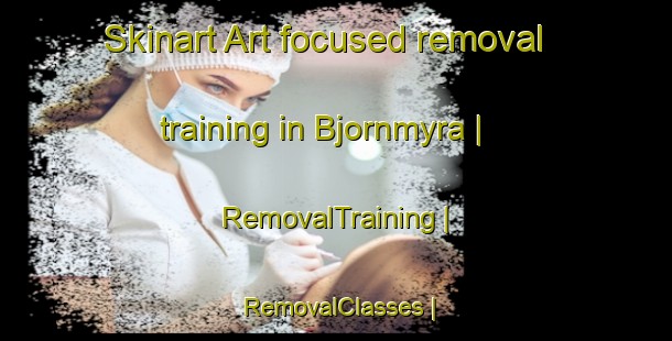 Skinart Art-focused removal training in Bjornmyra | RemovalTraining | RemovalClasses | SkinartTraining-Sweden